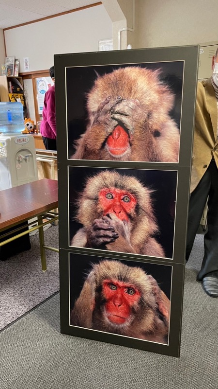 見ざる・言わざる・聞かざるのポーズをとったサルの写真