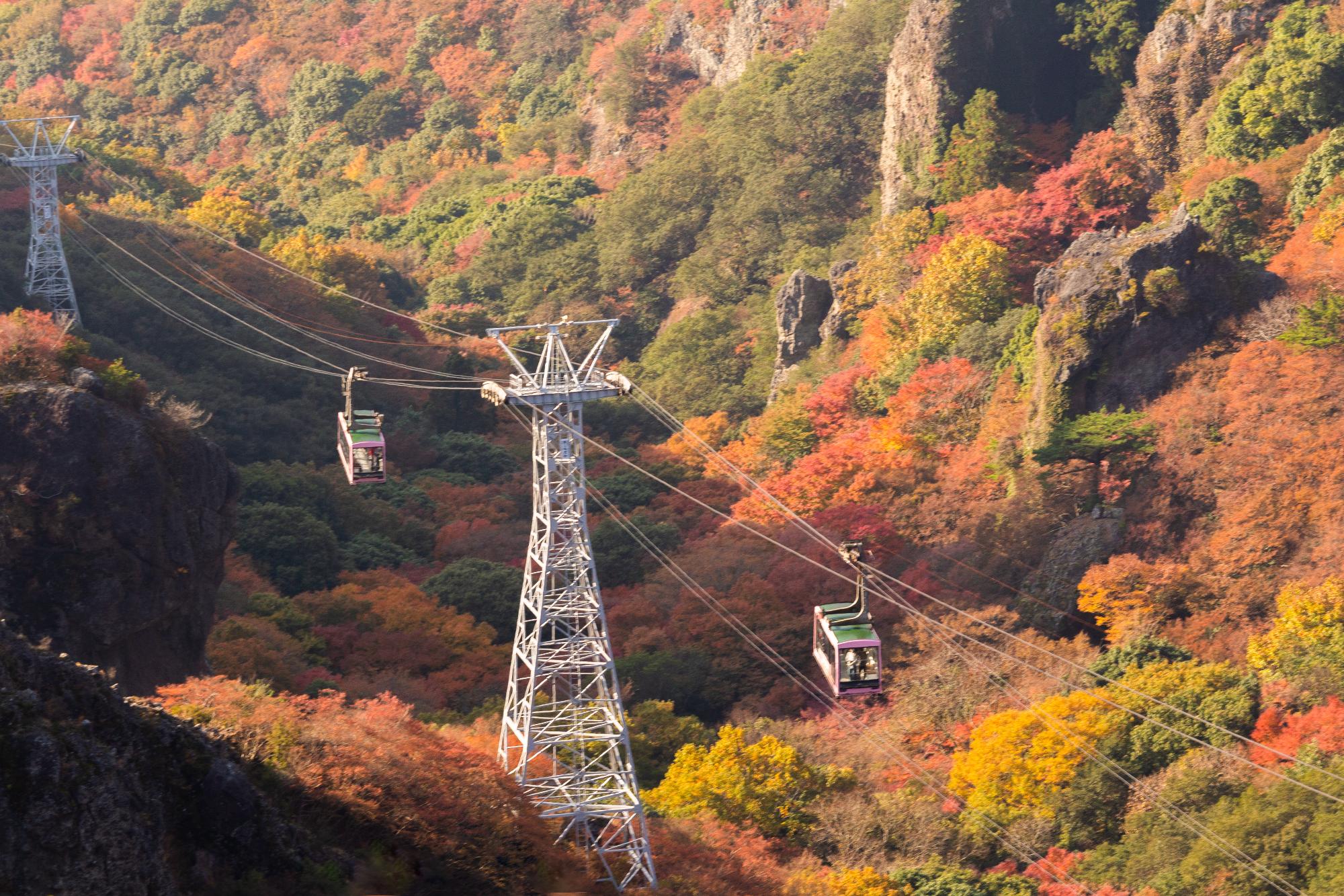 秋の紅葉シーズンの寒霞渓ロープウェイの写真です