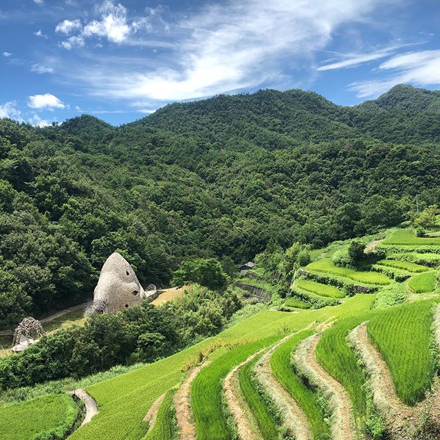 小豆島の中山にある棚田