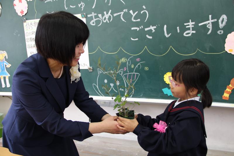 入学式で先生からオリーブの苗を受け取る小学一年生の写真