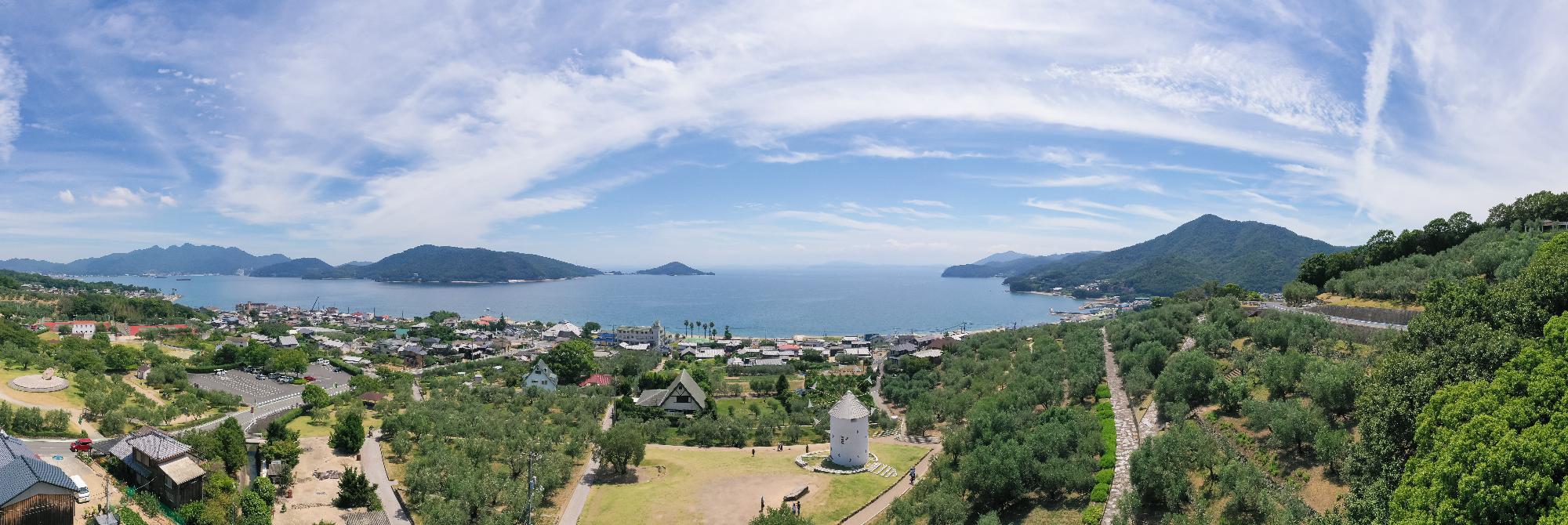 小豆島町西村のオリーブ公園からドローンで撮影をしたオリーブ畑と海の写真