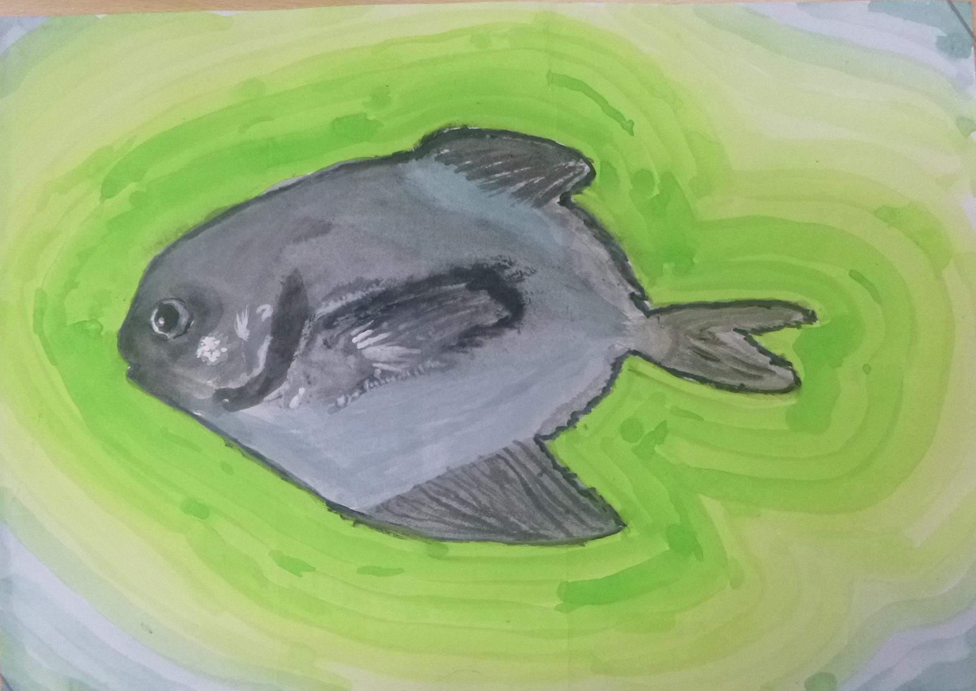 笠井望羽さんの作品