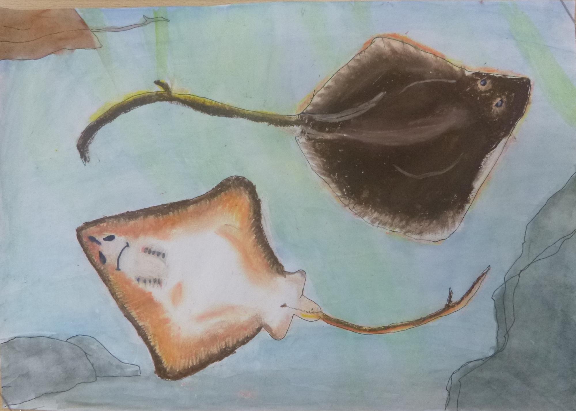 海野心陽さんの作品