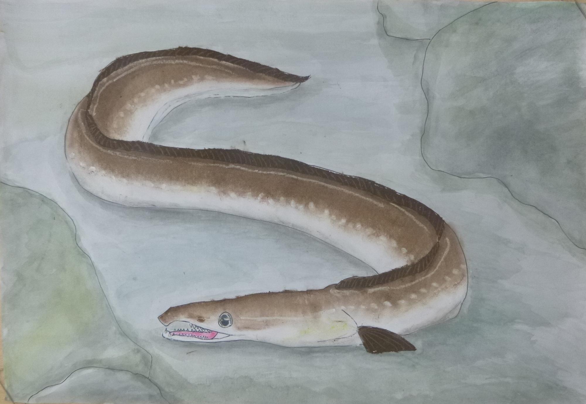 海野陽葵さんの作品