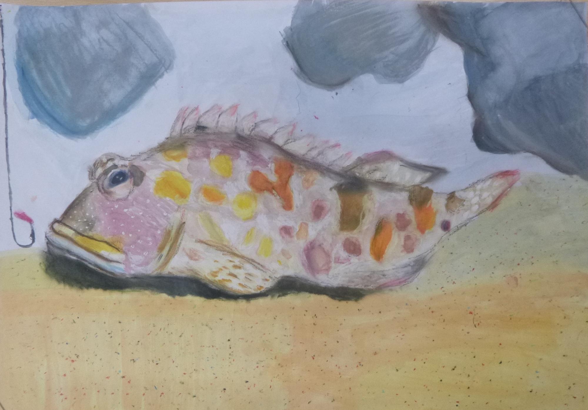 空澤一瑳さんの作品