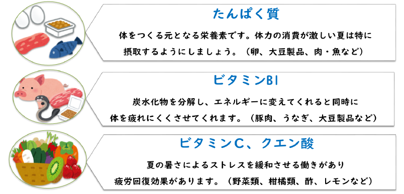 夏にとりたい栄養素