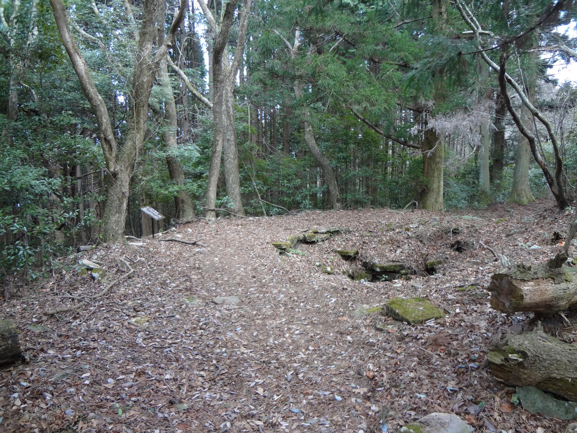 人口井戸遺構