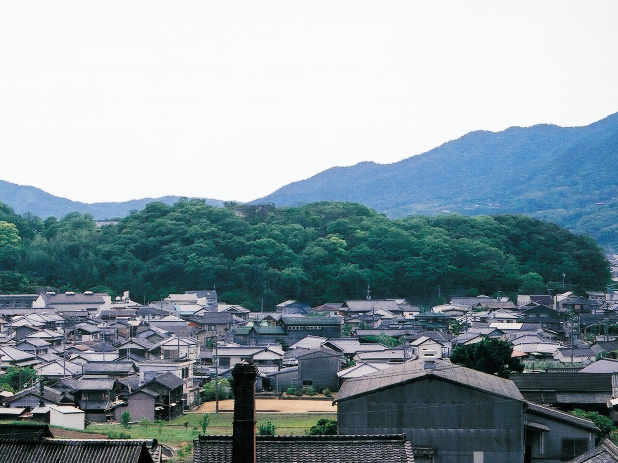 内海八幡神社社叢