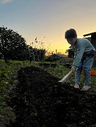 畑作業をする息子さん