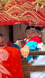 太鼓台にのる息子さん