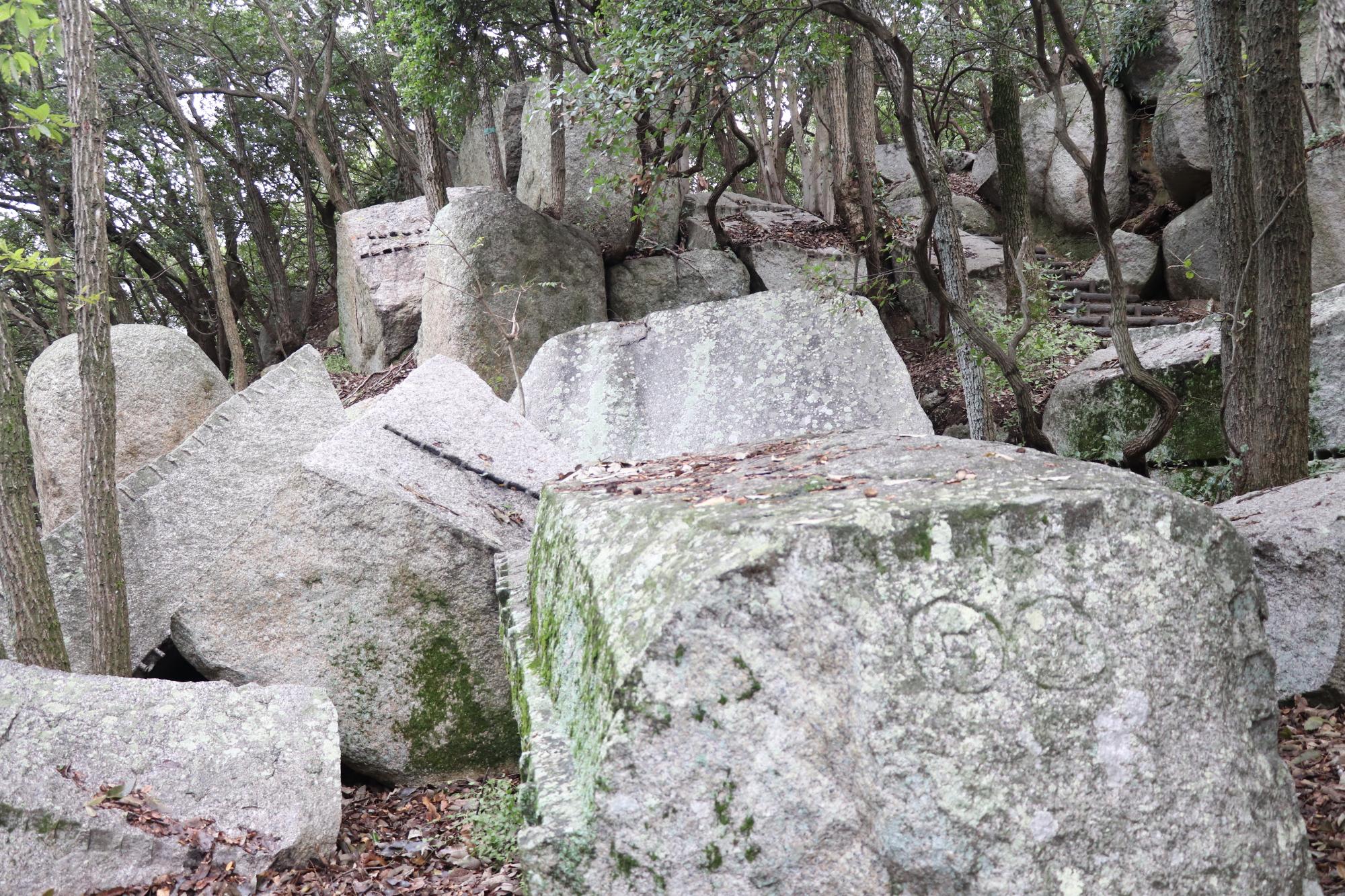 大坂城築城時の石材が割られた状態でごろごろと丁場跡に残る