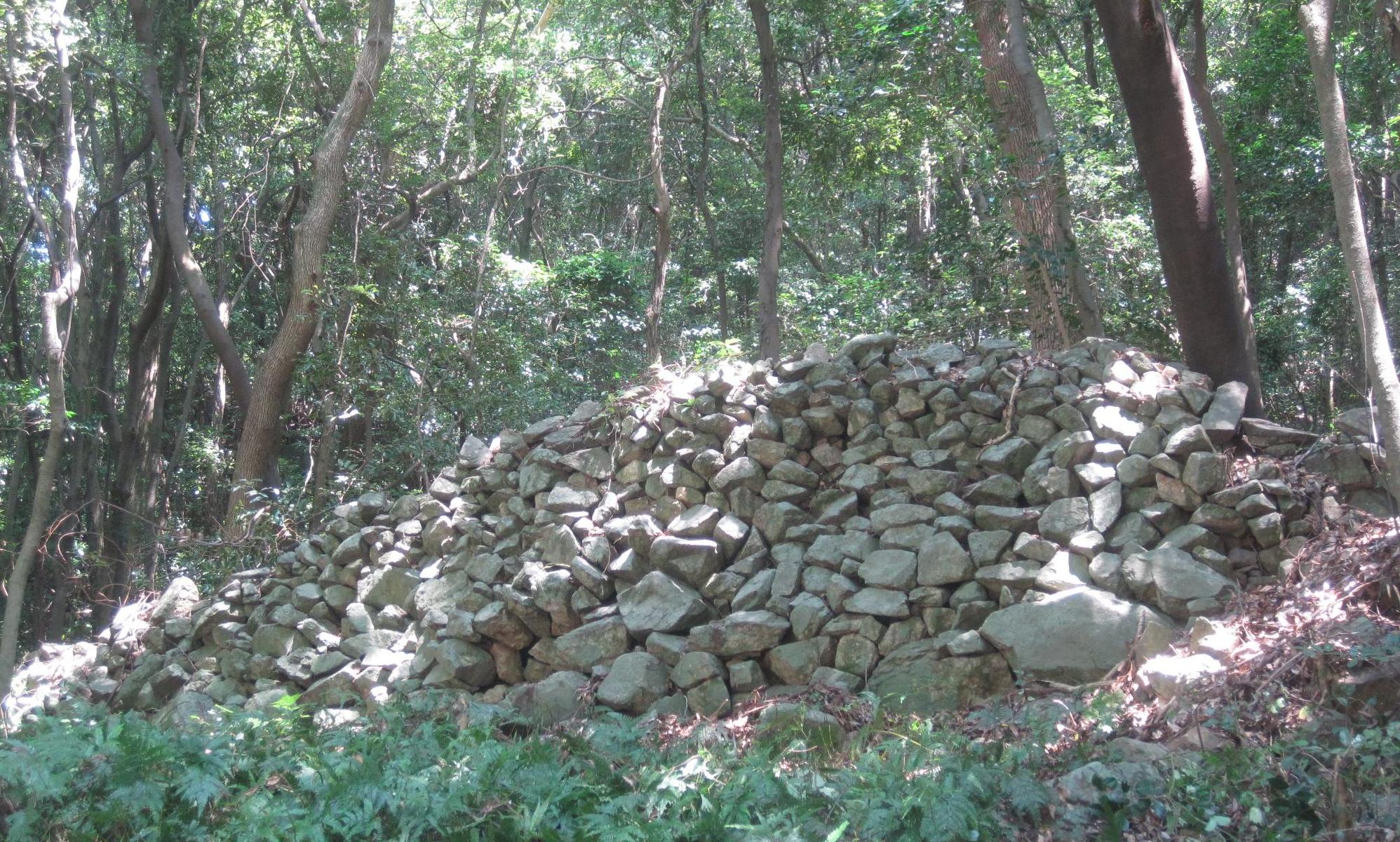 自然の石を用いて築かれた石垣が山中にある