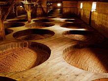 たくさんの杉の桶が並び醸造（発酵・熟成）が行われている蔵の中の写真