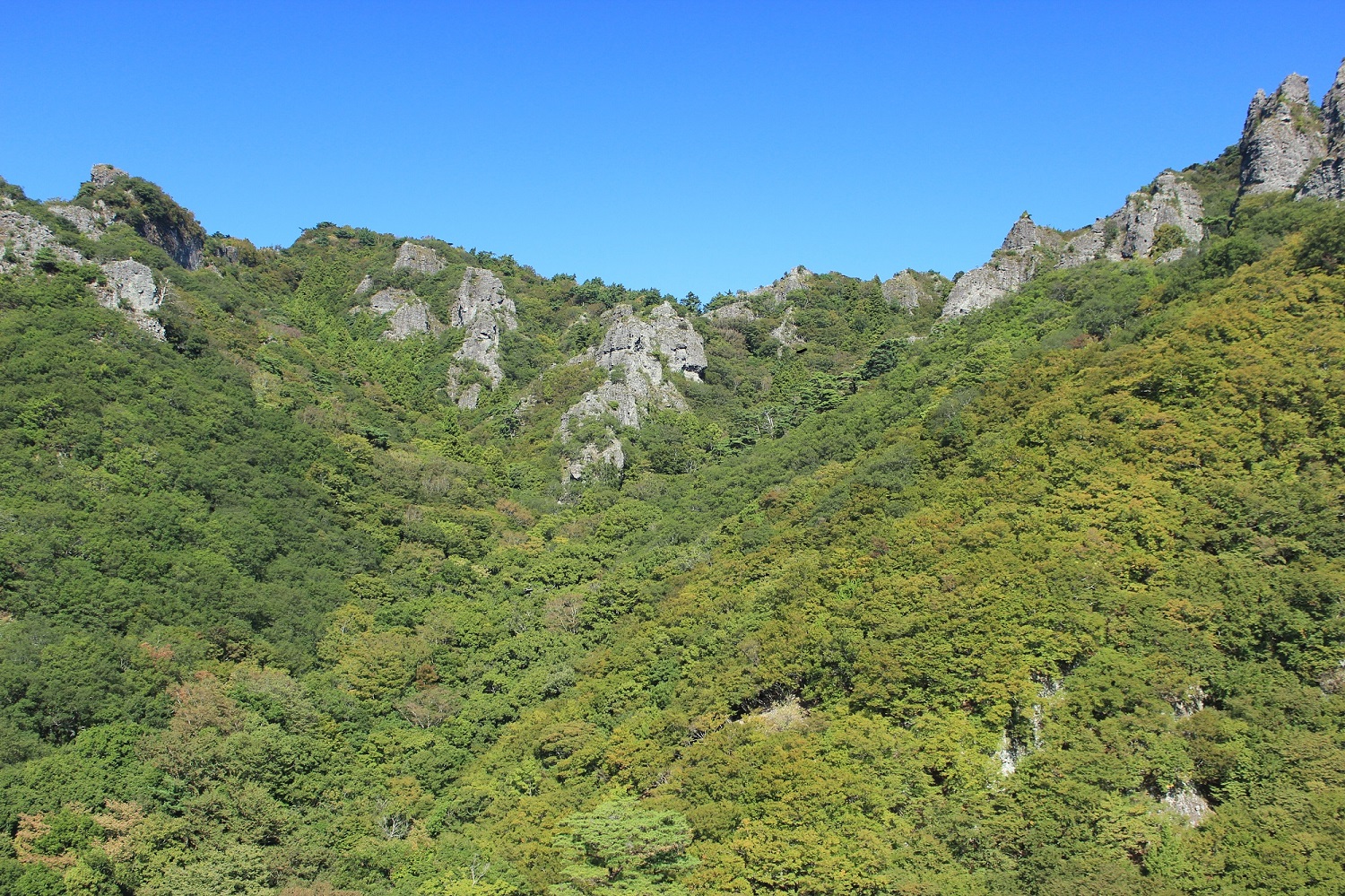 ロープウェイ車窓から見たまだ緑が多い寒霞渓の画像