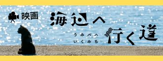 映画海辺へ行く道のバナーです。海辺の堤防にたたずむ黒猫の写真です。