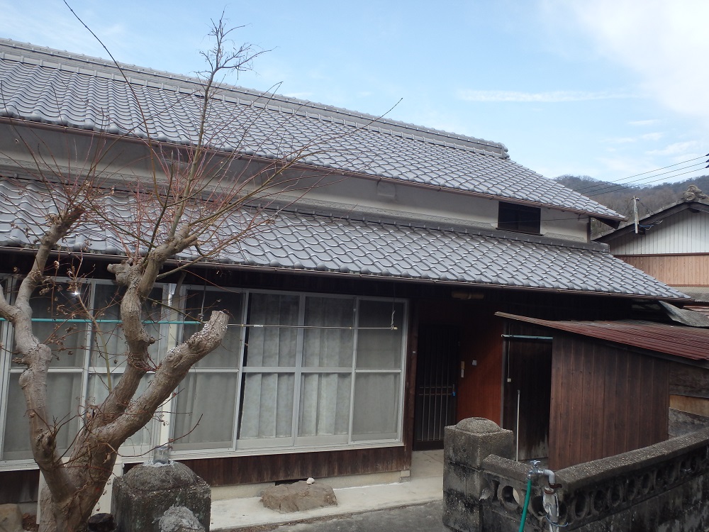 detached 苗羽