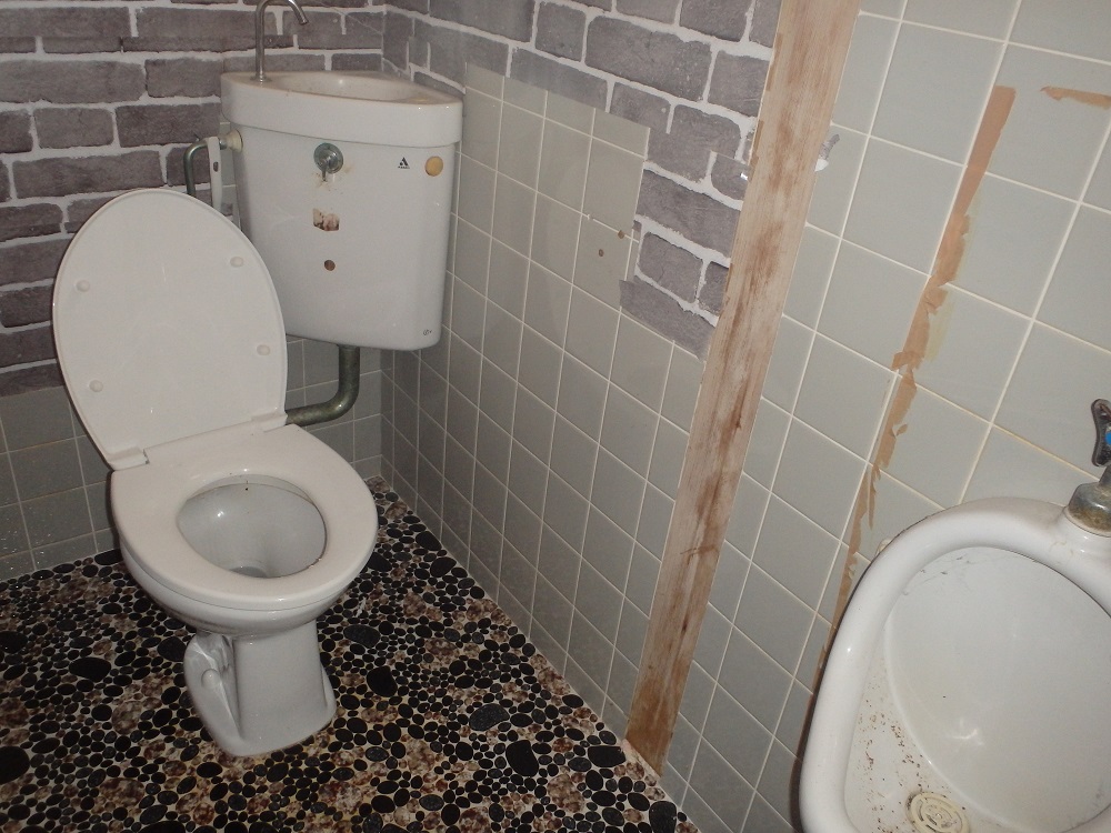House in Shodoshima, Kagawa: Toilet