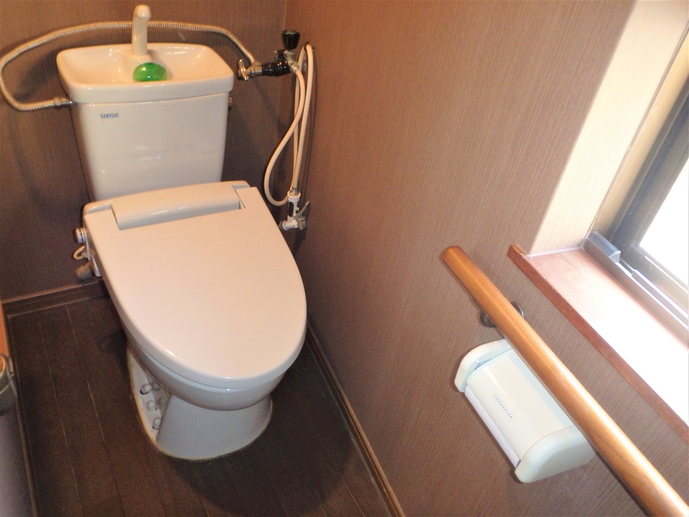 House in Shodoshima, Kagawa: Toilet