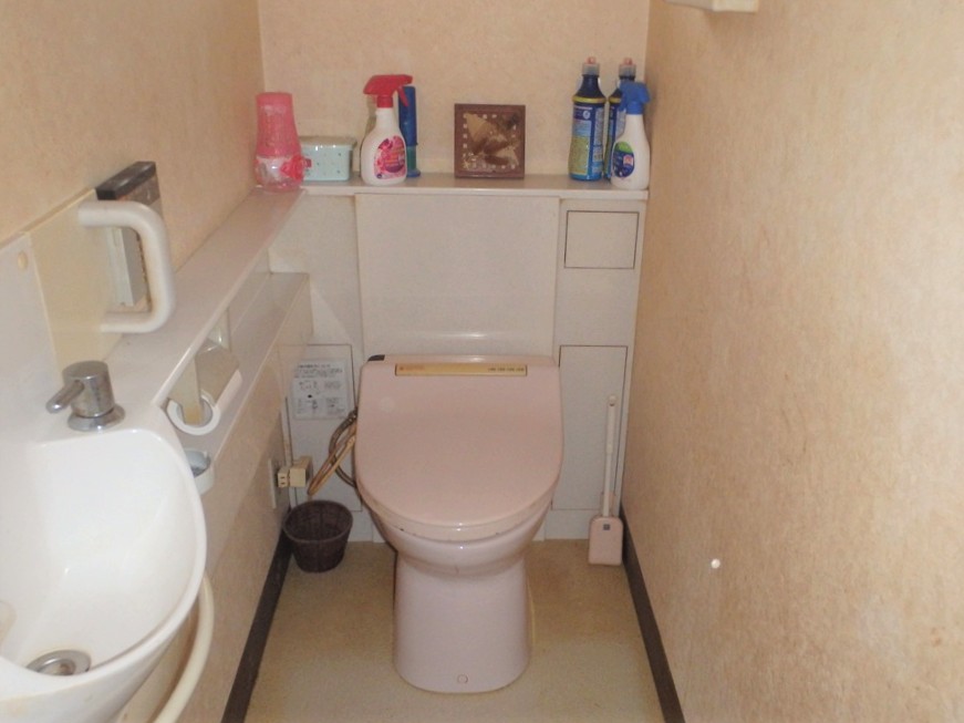 House in Shodoshima, Kagawa: Toilet